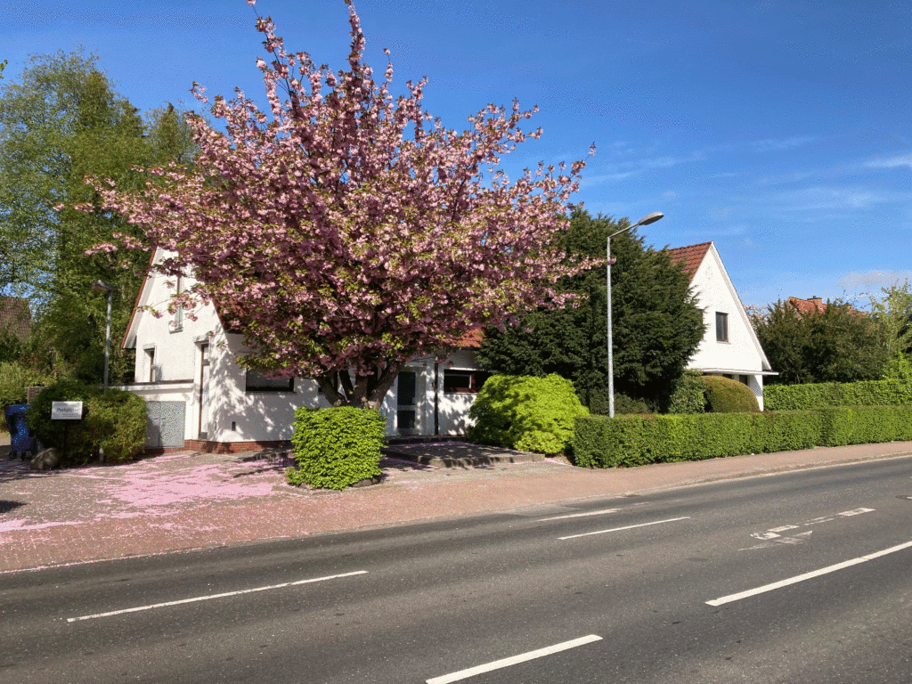 Auf dem Bild ist das Praxisgebäude im Frühling zu sehen. Der Baum vor dem Eingang steht in voller Blüte.